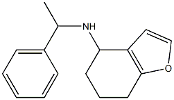 N-(1-phenylethyl)-4,5,6,7-tetrahydro-1-benzofuran-4-amine 结构式