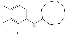 N-(2,3,4-trifluorophenyl)cyclooctanamine,,结构式