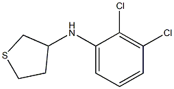 N-(2,3-dichlorophenyl)thiolan-3-amine