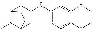 N-(2,3-dihydro-1,4-benzodioxin-6-yl)-8-methyl-8-azabicyclo[3.2.1]octan-3-amine Struktur