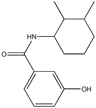 N-(2,3-dimethylcyclohexyl)-3-hydroxybenzamide 结构式