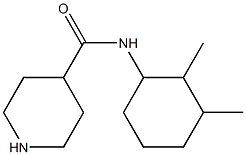 N-(2,3-dimethylcyclohexyl)piperidine-4-carboxamide Struktur