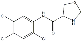 N-(2,4,5-trichlorophenyl)-1,3-thiazolidine-4-carboxamide 结构式