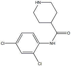 N-(2,4-dichlorophenyl)piperidine-4-carboxamide Structure