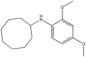  N-(2,4-dimethoxyphenyl)cyclooctanamine