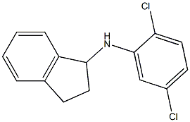 N-(2,5-dichlorophenyl)-2,3-dihydro-1H-inden-1-amine 结构式