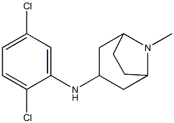 N-(2,5-dichlorophenyl)-8-methyl-8-azabicyclo[3.2.1]octan-3-amine|