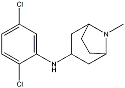 N-(2,5-dichlorophenyl)-8-methyl-8-azabicyclo[3.2.1]octan-3-amine,,结构式