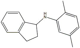 N-(2,5-dimethylphenyl)-2,3-dihydro-1H-inden-1-amine