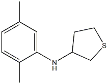 N-(2,5-dimethylphenyl)thiolan-3-amine