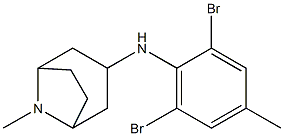 N-(2,6-dibromo-4-methylphenyl)-8-methyl-8-azabicyclo[3.2.1]octan-3-amine Struktur