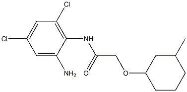 N-(2-amino-4,6-dichlorophenyl)-2-[(3-methylcyclohexyl)oxy]acetamide,,结构式