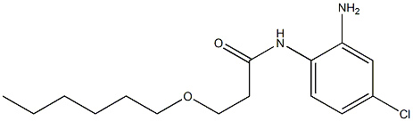 N-(2-amino-4-chlorophenyl)-3-(hexyloxy)propanamide 结构式