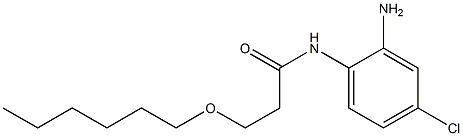  N-(2-amino-4-chlorophenyl)-3-(hexyloxy)propanamide