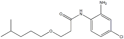 N-(2-amino-4-chlorophenyl)-3-[(4-methylpentyl)oxy]propanamide Structure