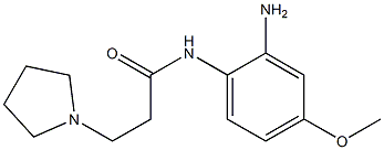 N-(2-amino-4-methoxyphenyl)-3-pyrrolidin-1-ylpropanamide