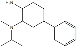 N-(2-amino-5-phenylcyclohexyl)-N-isopropyl-N-methylamine