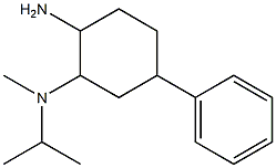 N-(2-amino-5-phenylcyclohexyl)-N-isopropyl-N-methylamine 化学構造式