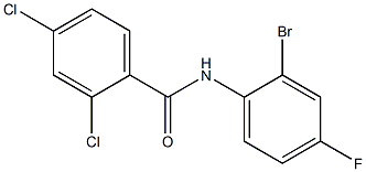 N-(2-bromo-4-fluorophenyl)-2,4-dichlorobenzamide Structure