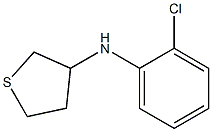  N-(2-chlorophenyl)thiolan-3-amine