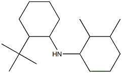  N-(2-tert-butylcyclohexyl)-2,3-dimethylcyclohexan-1-amine