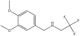 N-(3,4-dimethoxybenzyl)-N-(2,2,2-trifluoroethyl)amine Struktur