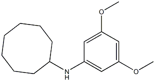 N-(3,5-dimethoxyphenyl)cyclooctanamine 结构式