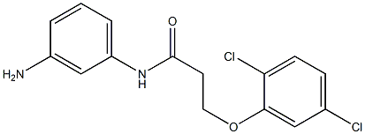 N-(3-aminophenyl)-3-(2,5-dichlorophenoxy)propanamide Struktur