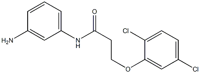 N-(3-aminophenyl)-3-(2,5-dichlorophenoxy)propanamide 结构式