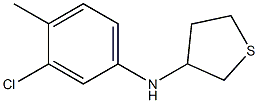 N-(3-chloro-4-methylphenyl)thiolan-3-amine 化学構造式