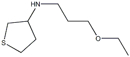 N-(3-ethoxypropyl)thiolan-3-amine 结构式