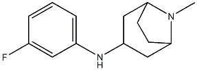 N-(3-fluorophenyl)-8-methyl-8-azabicyclo[3.2.1]octan-3-amine 结构式