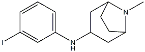 N-(3-iodophenyl)-8-methyl-8-azabicyclo[3.2.1]octan-3-amine Structure