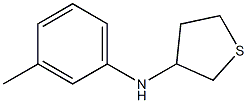 N-(3-methylphenyl)thiolan-3-amine,,结构式
