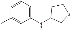 N-(3-methylphenyl)thiolan-3-amine