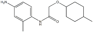 N-(4-amino-2-methylphenyl)-2-[(4-methylcyclohexyl)oxy]acetamide Struktur