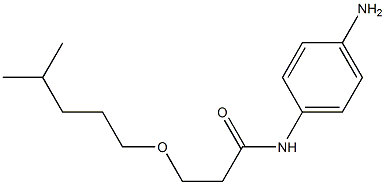 N-(4-aminophenyl)-3-[(4-methylpentyl)oxy]propanamide Structure