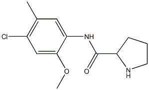 N-(4-chloro-2-methoxy-5-methylphenyl)pyrrolidine-2-carboxamide 化学構造式