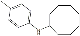 N-(4-methylphenyl)cyclooctanamine 化学構造式