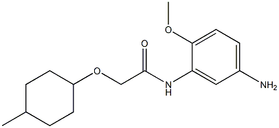 N-(5-amino-2-methoxyphenyl)-2-[(4-methylcyclohexyl)oxy]acetamide Struktur