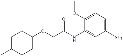 N-(5-amino-2-methoxyphenyl)-2-[(4-methylcyclohexyl)oxy]acetamide 结构式