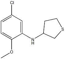 N-(5-chloro-2-methoxyphenyl)thiolan-3-amine Struktur