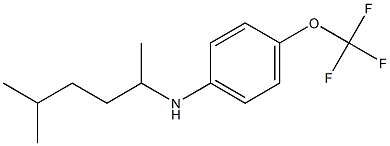 N-(5-methylhexan-2-yl)-4-(trifluoromethoxy)aniline Struktur