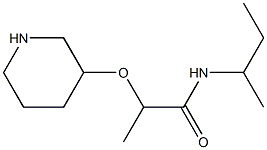  N-(butan-2-yl)-2-(piperidin-3-yloxy)propanamide