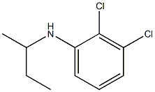 N-(butan-2-yl)-2,3-dichloroaniline
