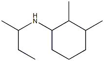 N-(butan-2-yl)-2,3-dimethylcyclohexan-1-amine Struktur