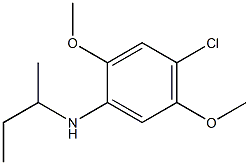 N-(butan-2-yl)-4-chloro-2,5-dimethoxyaniline|