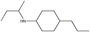 N-(butan-2-yl)-4-propylcyclohexan-1-amine