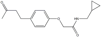 N-(cyclopropylmethyl)-2-[4-(3-oxobutyl)phenoxy]acetamide Structure