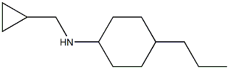 N-(cyclopropylmethyl)-4-propylcyclohexan-1-amine 结构式